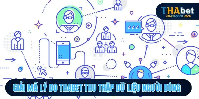Giải mã lý do THABET thu thập dữ liệu người dùng 